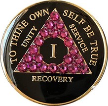 1 - 50 Year AA Medallion Black Tri-Plate Pink Fuschia Color Swarovski Crystal Ch - £15.63 GBP