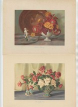 4 Oliver Glen Barrett Prints Dragon Sealfito Vase Lillies Moderne Autume Beauty - £13.39 GBP