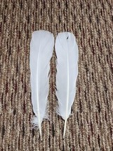 P20 Pr New Holland White Turkey Tail Feather - £10.89 GBP