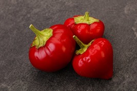 Sweet Cherry Pepper- 20 Vegetable Seeds- NON GMO -Bite Sized Tasty Sweet  - £3.08 GBP