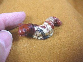 (Y-CATE-557) little red tan INCH WORM CATERPILLAR gemstone Stone carving... - $14.01