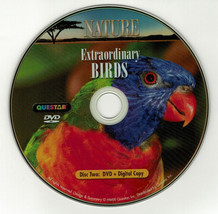 Nature: Extraordinary Birds (DVD disc) hummingbirds, parrots - £3.88 GBP