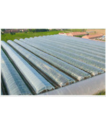 Greenhouse Light Blue Plastic Clear 5 Year 5.5 Mil(0.14mm) Poly Film  - $108.45 CAD+