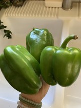 Free Shipping 100 Seeds Green Bell Pepper - £11.76 GBP