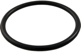 Waterway 8050224 O-Ring for 224 Sand filter - $9.20