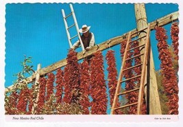 New Mexico Postcard Drying Red Chile Peppers - $2.96