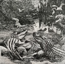Scene On The Nile River Crocodiles 1887 Wood Engraving Victorian Art DWEE28 - £23.56 GBP