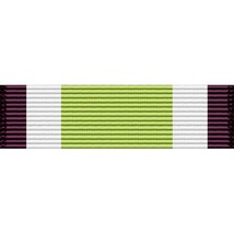 Military Service New Hampshire National Guard Service Ribbon Sticker UV ... - $4.89