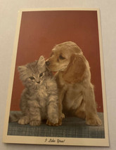 Vintage Postcard Unposted Puppy Dog Licking Kitten Cat - £3.36 GBP