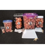 5 lbs freeze dried nerds - £58.22 GBP