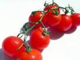 Tomato Seeds, Large Sweet Cherry Tomato Seeds,25 Seeds - £8.12 GBP