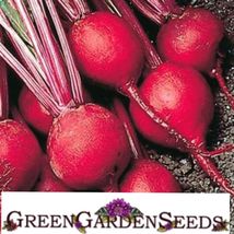 Sale 125 Seeds Organic Beet Detroit Dark Red Vegetable Garden - £7.51 GBP