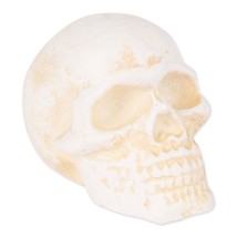 Human Skull Cast Iron Paperweight - £18.46 GBP