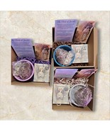 Large Rose of Jericho Kit - The Resurrection Plant - $40.00