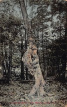 Kenoza Lake New York~Climbing Bear TREE~1913 Artino Postcard - £7.49 GBP