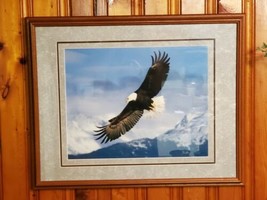 Millcreek Wildlife Reflections Eagle Photo Hand Signed Framed 19 3/4x16&quot;... - £95.56 GBP
