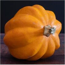 Table Gold Acorn Winter Squash Seeds for garden - $92.35 MXN
