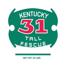 Barenbrug Tall Fescue Grass Seed 25 lb. - Case of: 1 - $70.65