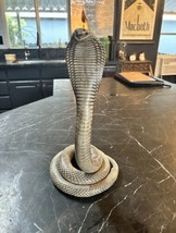 Real Beautiful Cobra Snake Taxidermy Mount - $850.00