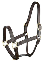 Gatsby Triple Stitched Leather Halter with O Snap Hardware - £54.79 GBP