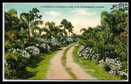 FLORIDA Postcard - St Petersburg, A Gardenia Lane Dirt Road G12 - £2.31 GBP