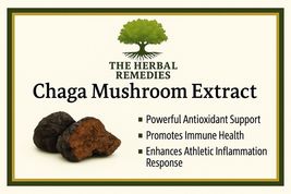Chaga Mushroom Extract 30g - $22.00