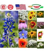 GMO-Free Texas Wildflower Seed Mix - 30,000+ Seeds | Perfect for Pollina... - $31.87 CAD