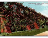 Rose Hedge Home of Mrs Childs Pasadena California CA UNP Unused DB Postc... - $2.92