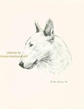 #123 BULL TERRIER portrait *  dog art print *Pen &amp; ink drawing * Jan Jel... - $12.38