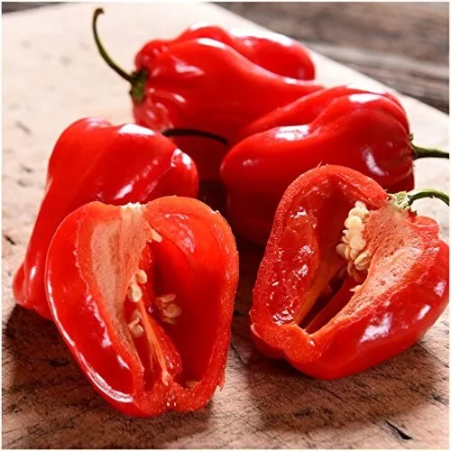 SR 20 FreshHot Habanero Red Premium Pepper Seeds USA Seller - $8.75