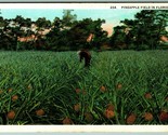 Contadino IN Ananas Campo IN Florida Fl Unp Wb Agriculture Cartolina I8 - £4.79 GBP