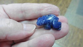 (Y-FRO-510) FROG Blue sodalite gemstone stone FIGURINE 1&quot; little baby frogs - £6.75 GBP