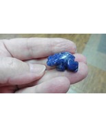 (Y-FRO-510) FROG Blue sodalite gemstone stone FIGURINE 1&quot; little baby frogs - $8.59