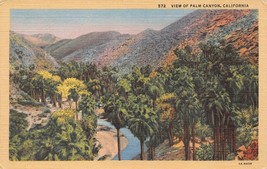 Antique Postcard View of Palm Canyon,California - £3.05 GBP