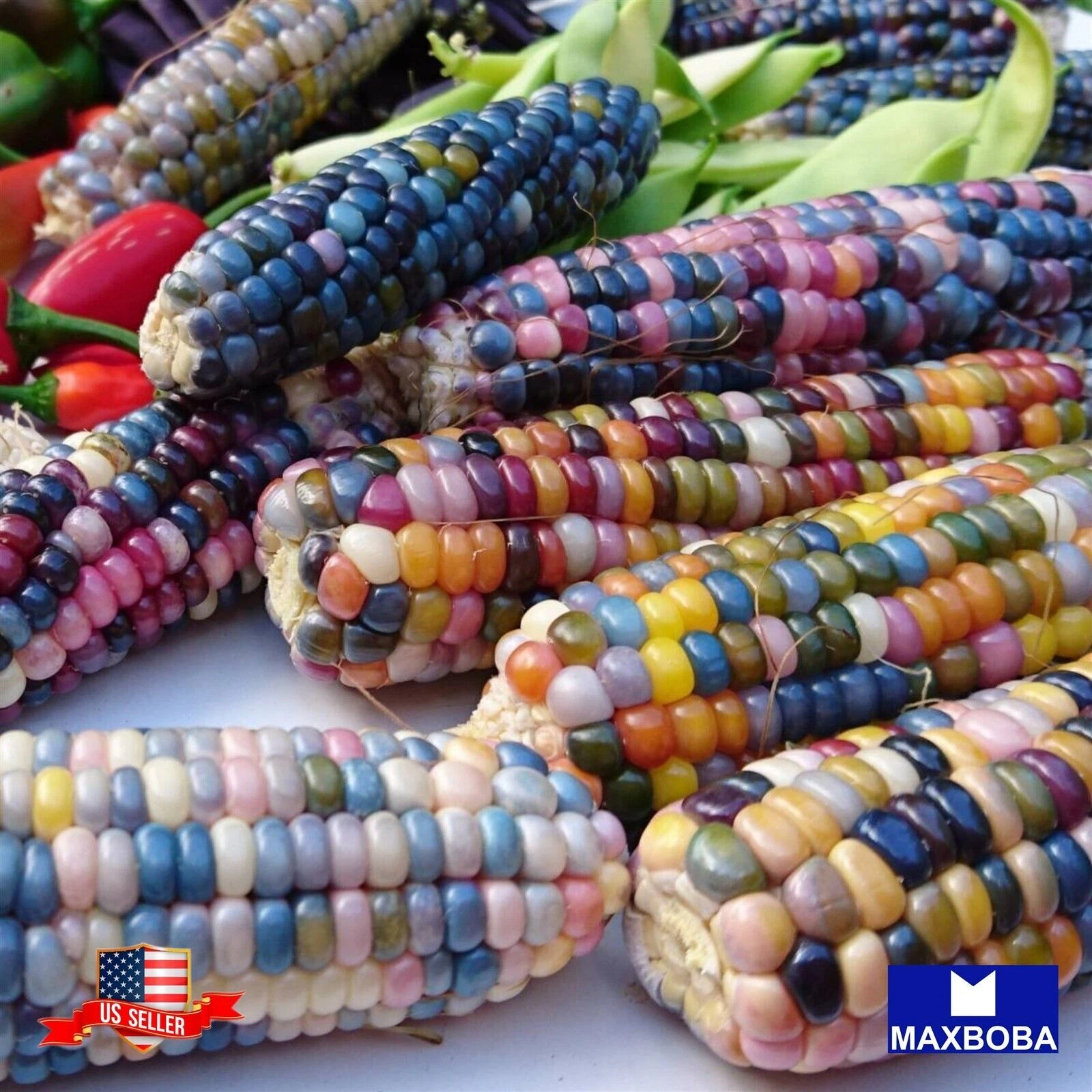 Corn Fresh Seeds - Popcorn Glass Gem Colorful Rainbow Kernels Non-GMO Ve... - $3.87