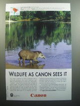 2007 Canon Advertisement - South American Tapir - Wildlife as Canon sees it - £14.55 GBP