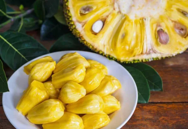 Jackfruit - 12 Fresh Seeds - Garden - £15.01 GBP