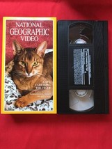 National Geographic VHS Video - Cats Caressing The Tiger  - $4.74