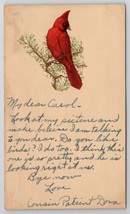 Handmade Hand-cut Die-cut Applique Pretty Red Cardinal  Randolph MA Postcard C24 - £10.14 GBP