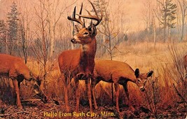 Hello De Rush City Minnesota ~ Buck &amp; Deer Virginia ~1967 Postcard-
show orig... - £8.01 GBP