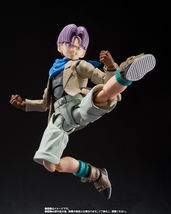 Item image 7