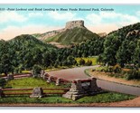 Road To Mesa Verde National Park Colorado CO UNP Linen Postcard Z2 - $2.92