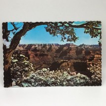 Grand Canyon National Park Arizona Vintage Postcard - £6.19 GBP