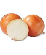 500 Vidalia Yellow Extra Sweet Hybrid F1 Onion Seeds  - $6.18