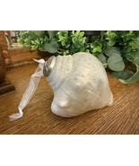 Frosted White Sea Shell Conch Glass Kugel Style Christmas Ornament 4.5&quot; - €17,92 EUR