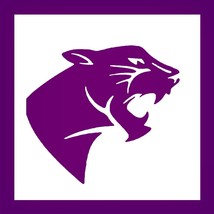 Carolina Panther Style Design Stencil, 12-Inch, Reusable Mylar Cutout, I... - $14.69