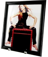 Framed Color Picture of Sheryl Crow - $16.29 CAD