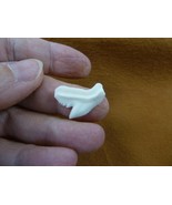 s1-1 Small 3/4 inch White TIGER SHARK T**TH T**th jewelry wire pendant C... - €11,93 EUR