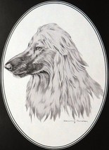 Afghan dog  - Dennis Hennesey - Framed Print - 11" x 14" - $32.50