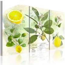 Tiptophomedecor Stretched Canvas Still Life Art - Fruit: Lemon - Stretched &amp; Fra - £63.94 GBP+
